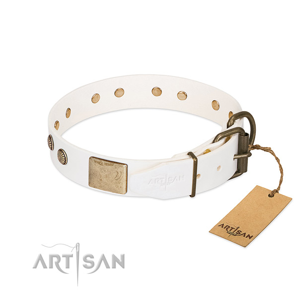 Rust-proof embellishments on everyday use dog collar