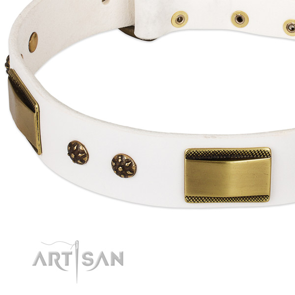 Corrosion proof fittings on full grain leather dog collar for your pet