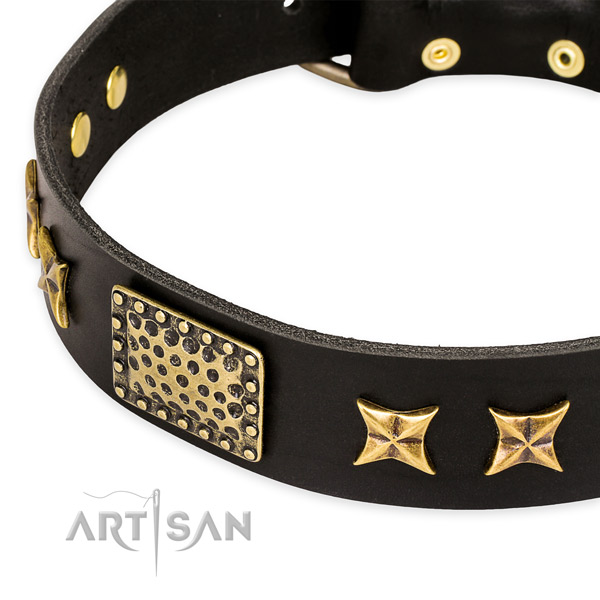 Full grain genuine leather collar with rust-proof D-ring for your lovely pet