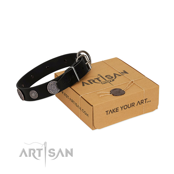 Stylish walking soft to touch natural leather dog collar with embellishments