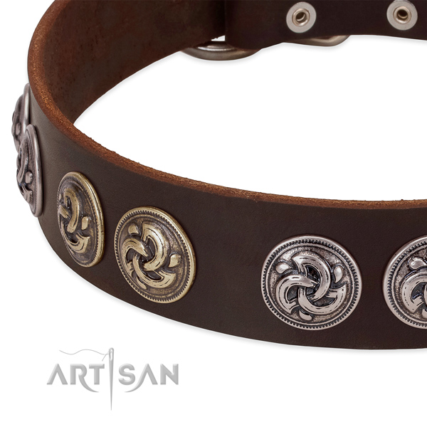 Impressive full grain leather collar for your canine daily walking