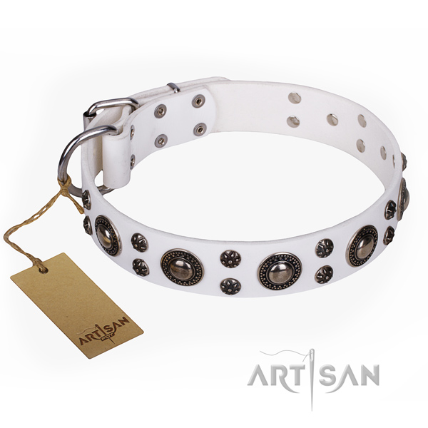 Daily walking dog collar of fine quality leather with adornments