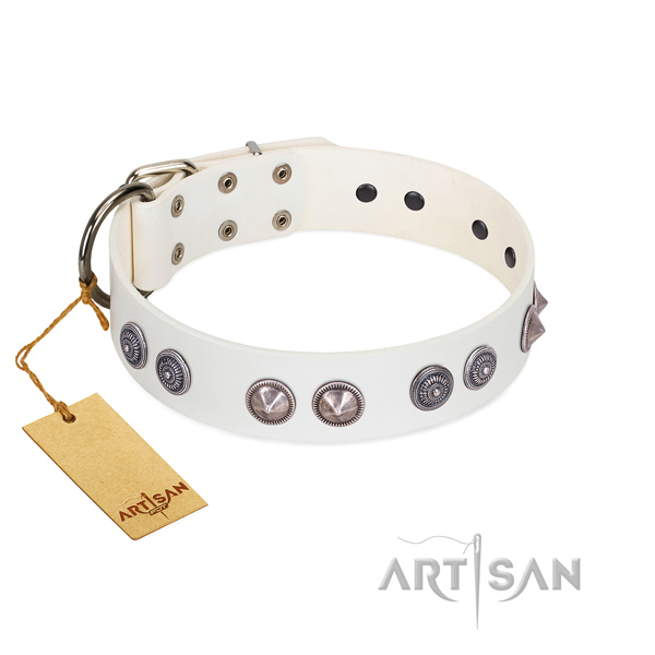 Unusual full grain natural leather dog collar with reliable D-ring