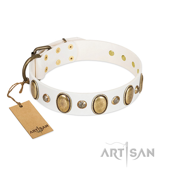 Natural leather dog collar of reliable material with fashionable adornments