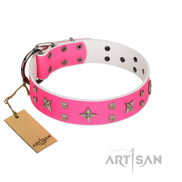 Durable studs on full grain leather dog collar for your four-legged friend