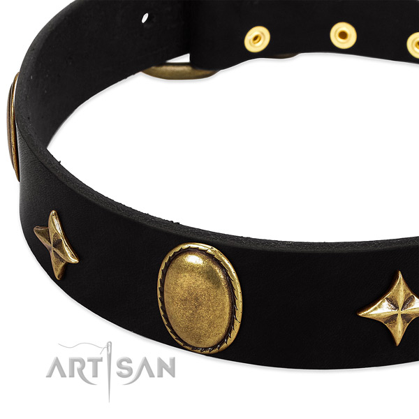 Durable leather collar with corrosion proof embellishments for your dog