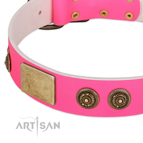 Designer dog collar made for your beautiful doggie