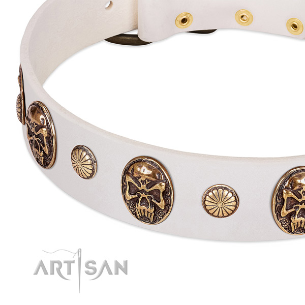 Corrosion resistant traditional buckle on leather dog collar for your four-legged friend