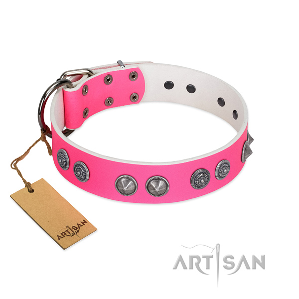 Full grain leather dog collar with incredible decorations for your pet