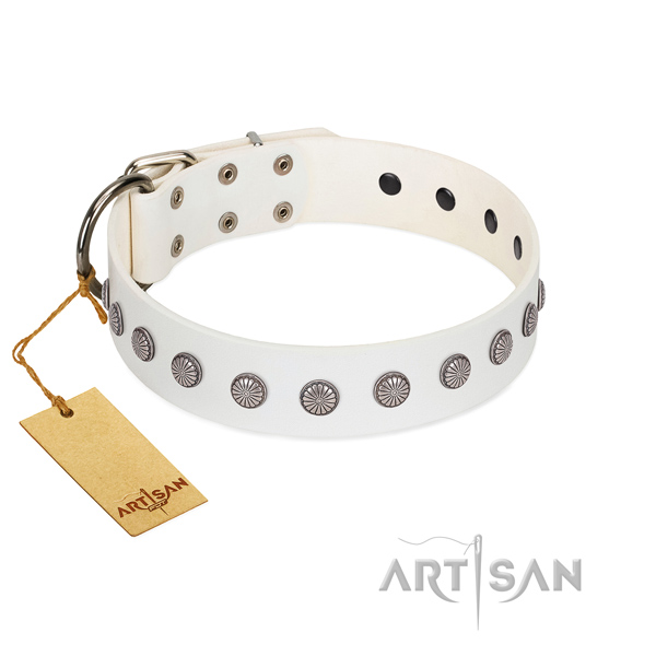 Exceptional adornments on full grain leather collar for everyday use your four-legged friend