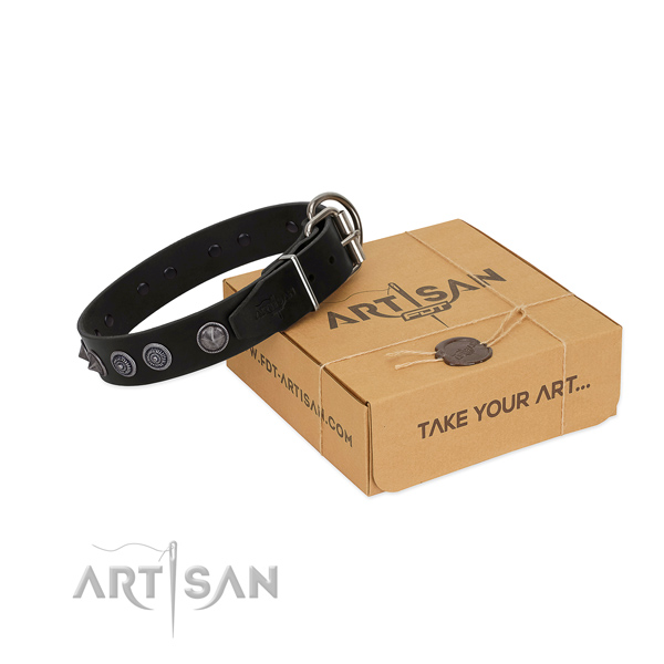Rust resistant hardware on leather dog collar for walking your canine