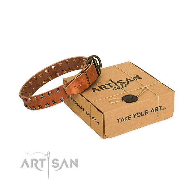 Daily use top notch full grain natural leather dog collar with embellishments