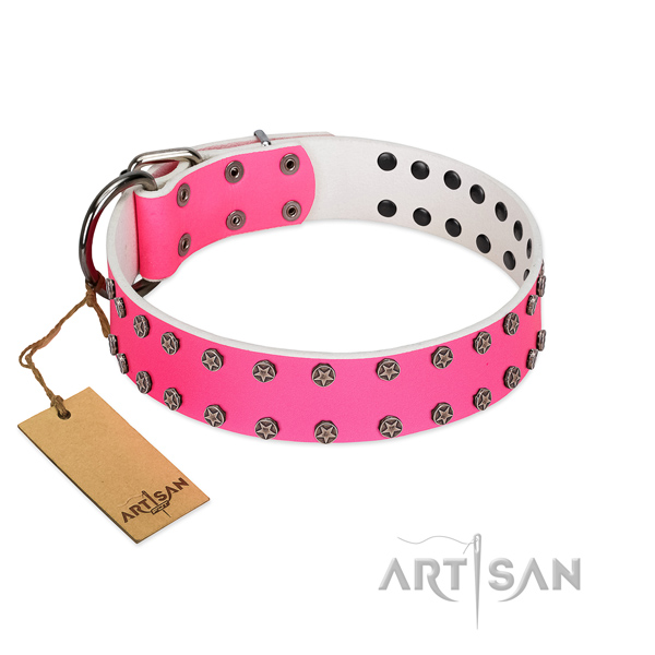 Stylish walking full grain leather dog collar with amazing embellishments