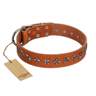 "Star Trek" FDT Artisan Tan Leather English Pointer Collar Decorated with Stars