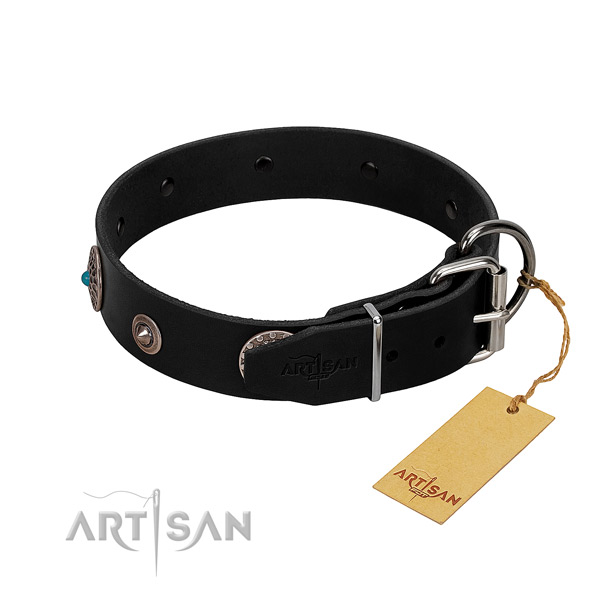Stylish studded full grain leather dog collar