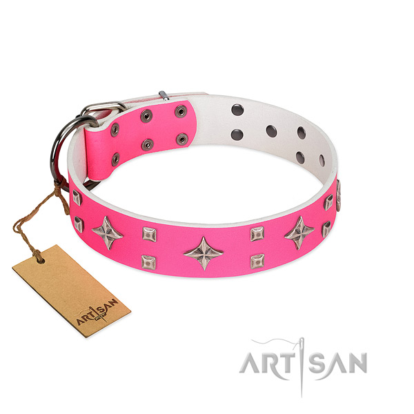 Extraordinary full grain genuine leather dog collar with rust-proof fittings