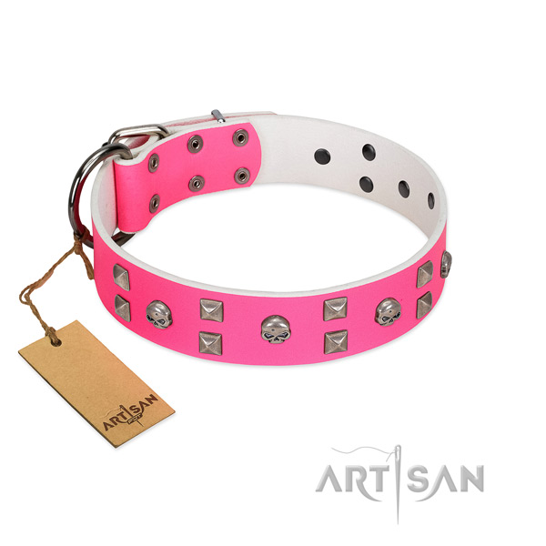 Stunning genuine leather dog collar for everyday walking
