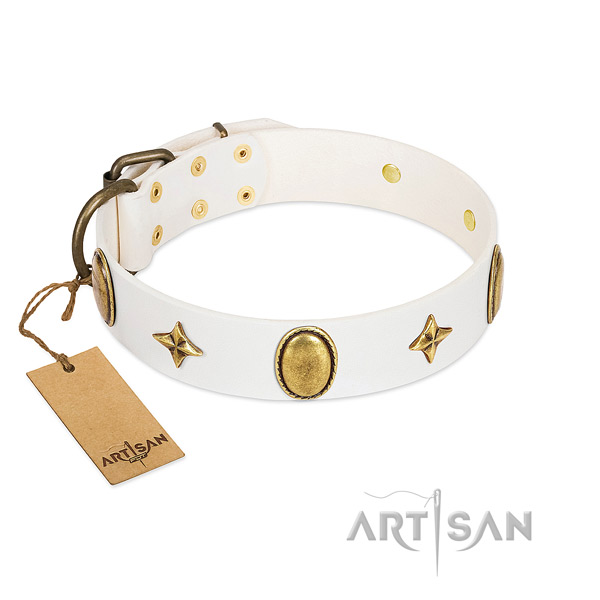 Flexible full grain genuine leather collar with amazing embellishments for your dog