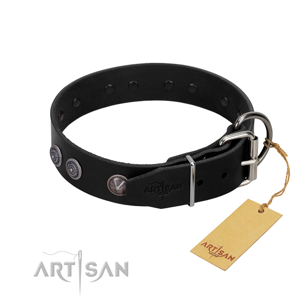 Rust-proof fittings on stylish walking collar for your dog