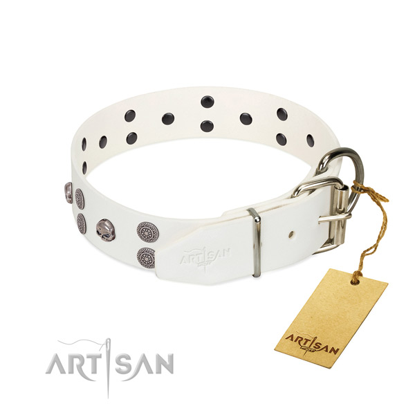 Flexible full grain leather dog collar with adornments for comfortable wearing