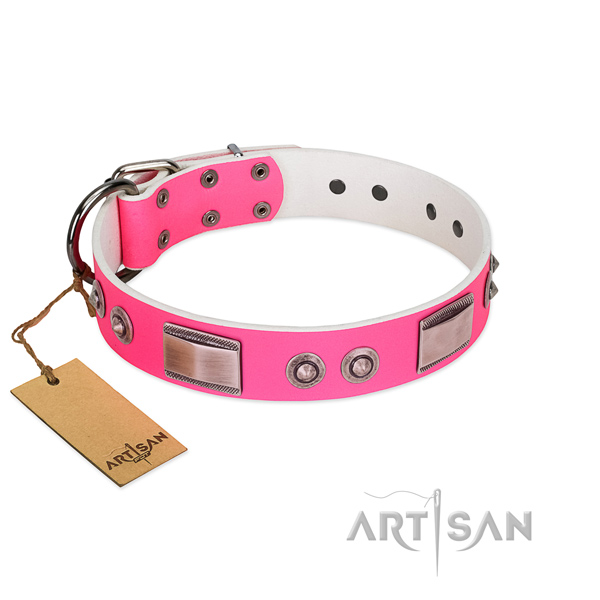 Remarkable dog collar of leather with embellishments