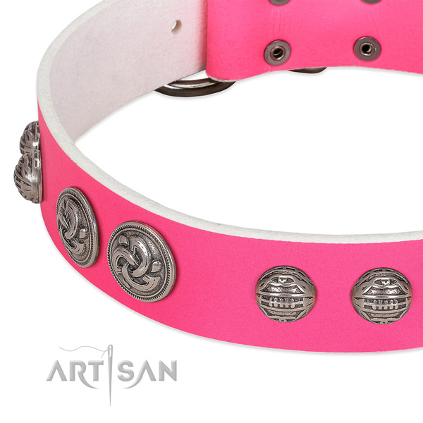 Rust resistant buckle on genuine leather collar for walking your four-legged friend