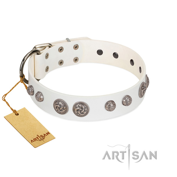 Durable decorations on genuine leather dog collar for your dog