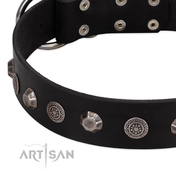 Top quality genuine leather dog collar for everyday walking