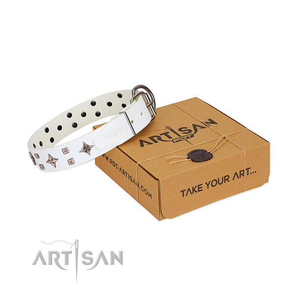 Comfortable wearing full grain natural leather dog collar with adornments