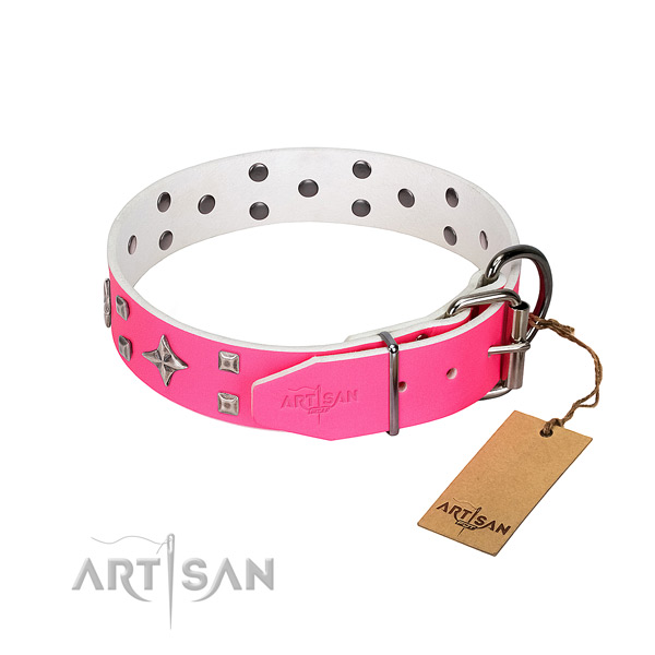 Natural leather dog collar with impressive studs