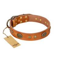 "Sun Beams" FDT Artisan Tan Leather English Pointer Collar with Decorations