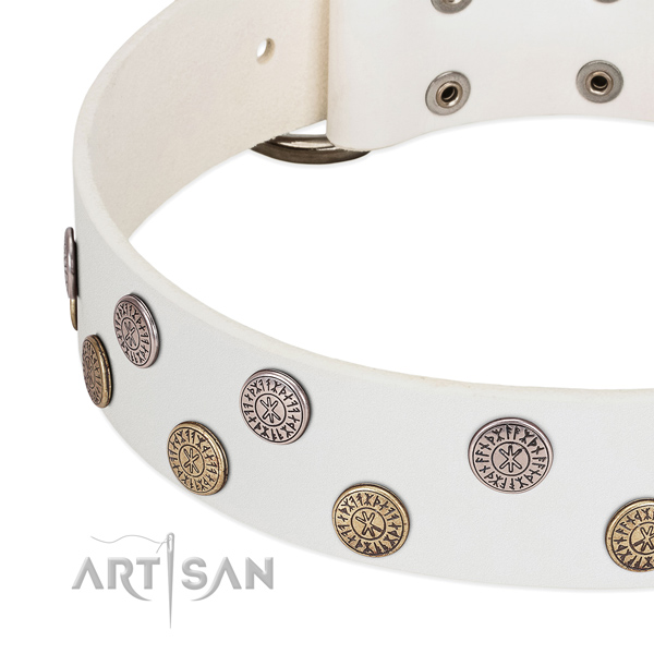 Incredible full grain leather collar for stylish walking your canine