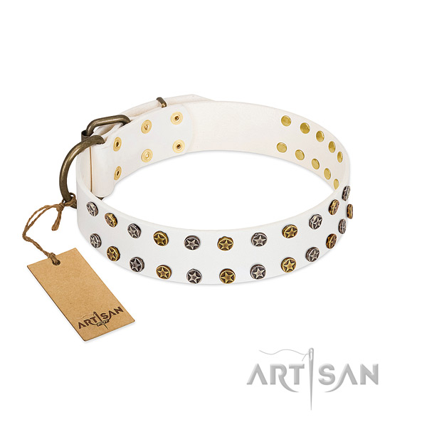 Top notch full grain leather dog collar with rust-proof embellishments