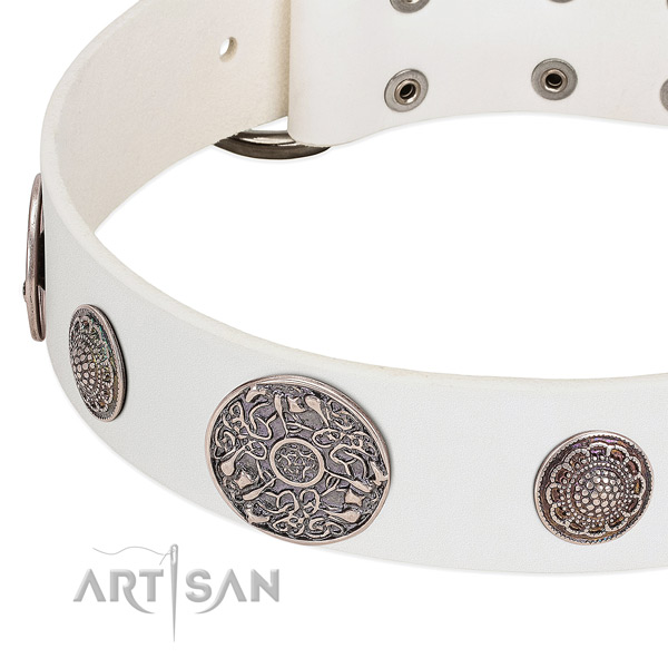 Strong decorations on full grain natural leather dog collar