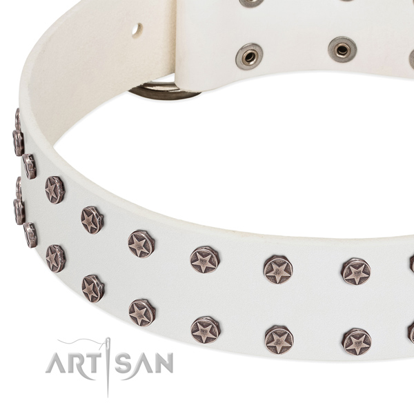 Trendy natural leather dog collar for fancy walking