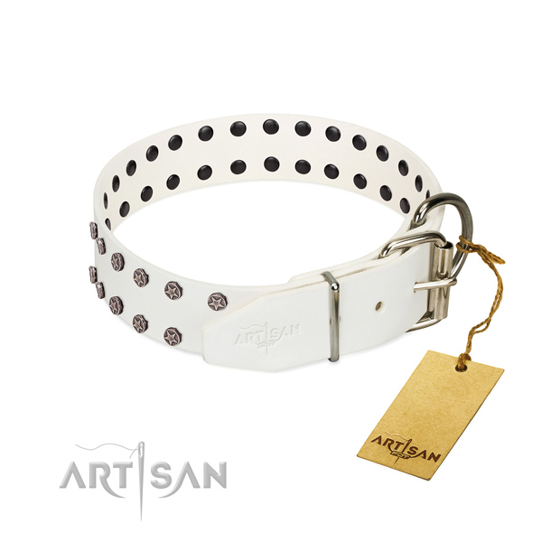 Rust resistant buckle on genuine leather dog collar for basic training