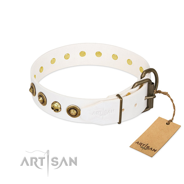 Leather collar with unique studs for your canine
