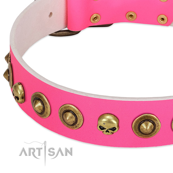 Unique adornments on full grain leather collar for your doggie