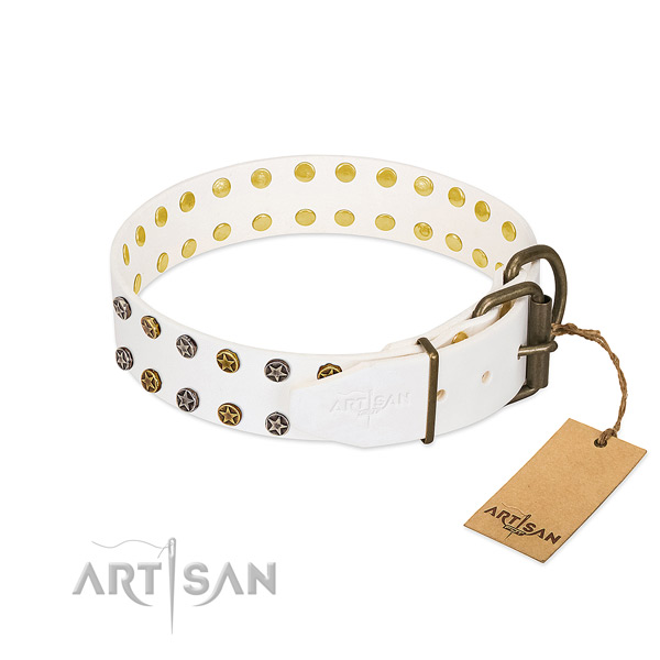 Extraordinary full grain leather dog collar with rust resistant adornments