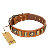 "Happy Hound" FDT Artisan Tan Leather English Pointer Collar with Elegant Decorations