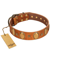 "Glossy Autumn" Designer Handmade FDT Artisan Tan Leather English Pointer Collar with Ovals and Studs