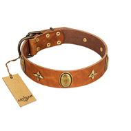 "Space Warrior" FDT Artisan Tan Leather English Pointer Collar with Ovals and Stars