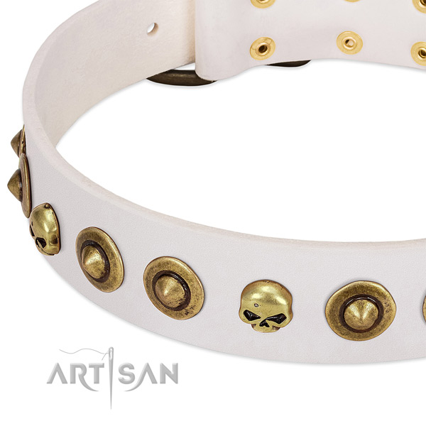 Incredible decorations on leather collar for your dog