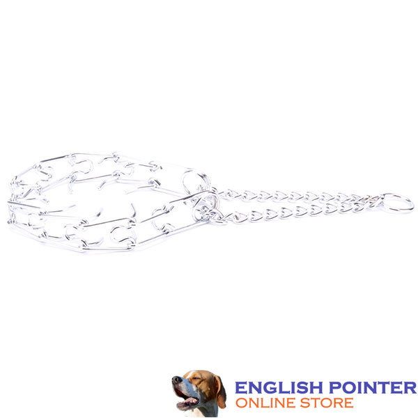 Premium-quality chrome plated prong collar for obedience training