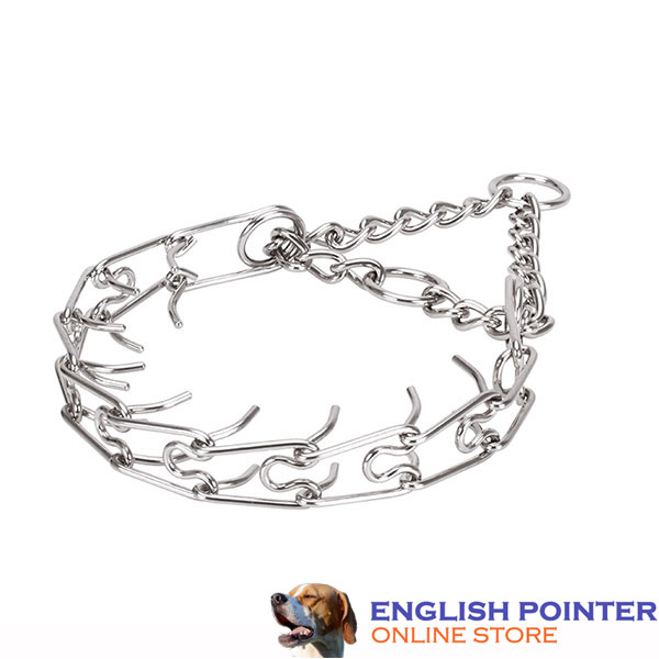 Dependable prong collar with stainless steel O-ring for attaching a leash