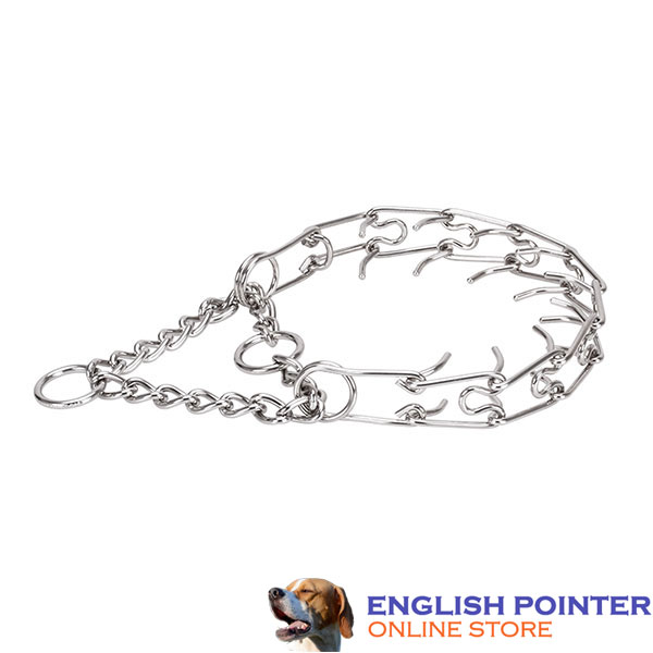 Pinch collar of reliable stainless steel for ill behaved dogs
