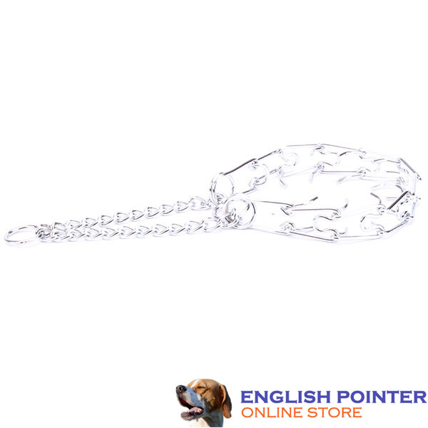 Chrome plated prong collar for obedience training dogs