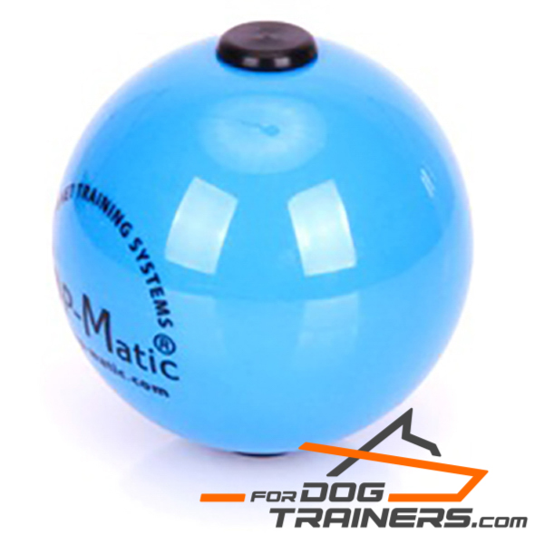 Fun dog ball for Training