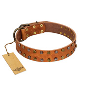 "Walk and Shine" FDT Artisan Tan Leather English Pointer Collar with Antiqued Studs
