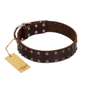 "Star Party" Handmade FDT Artisan Brown Leather English Pointer Collar with Silver-Like Studs